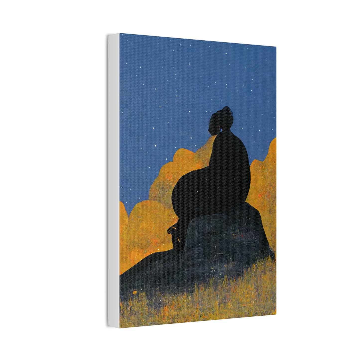 "Stargazing" Canvas Print